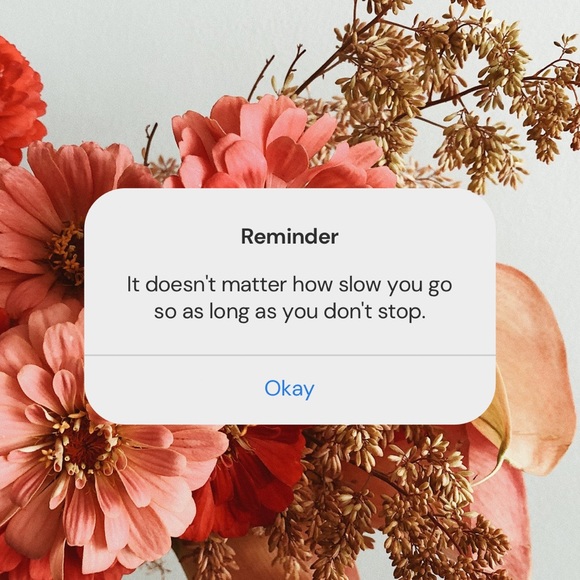 Meet your Posher, Jacqueline - Picture 13 of 13